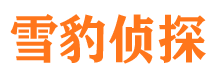 达孜找人公司